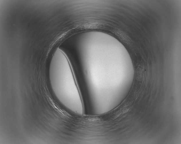 X0000054430446200507290956