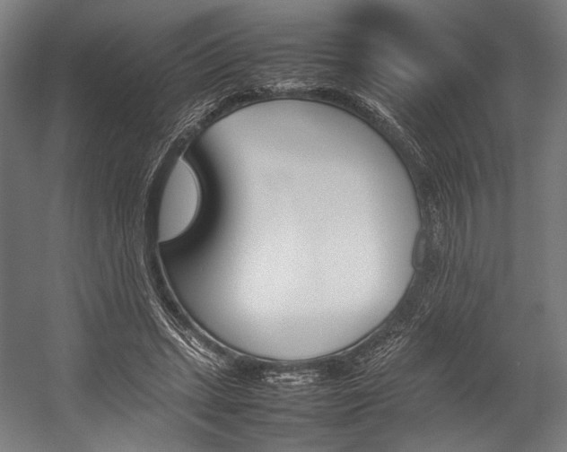 X0000054430447200507290956