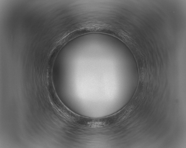 X0000054430448200507290956