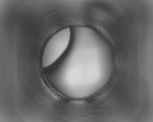 X0000054430449200507290956