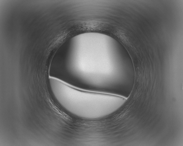 X0000054430450200507290956