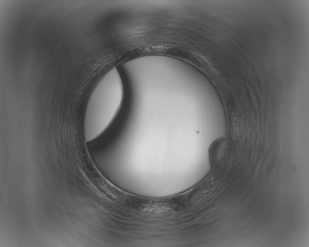 X0000054430451200507290956