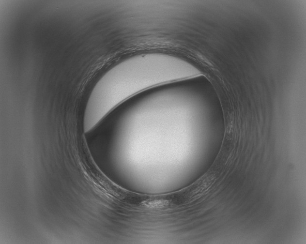 X0000054430452200507290956