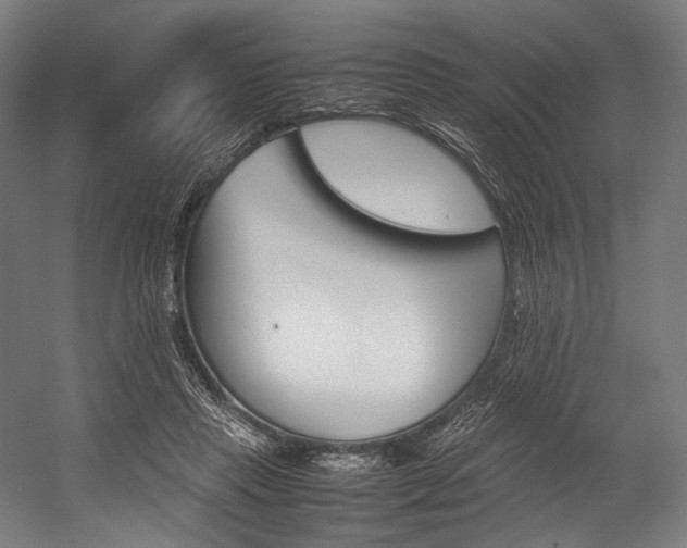 X0000054430453200507290956
