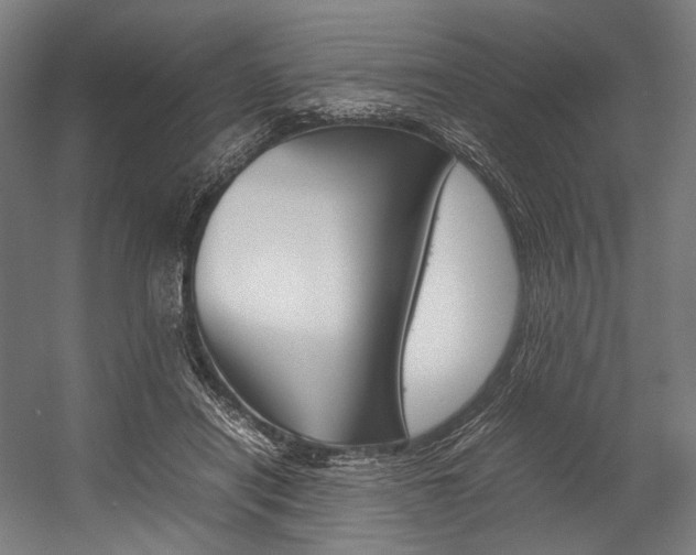 X0000054430454200507290956