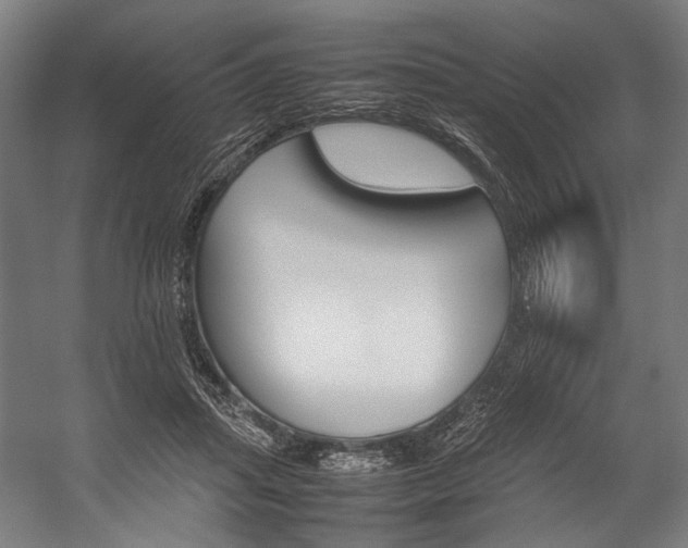 X0000054430455200507290956
