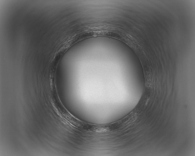 X0000054430456200507290956