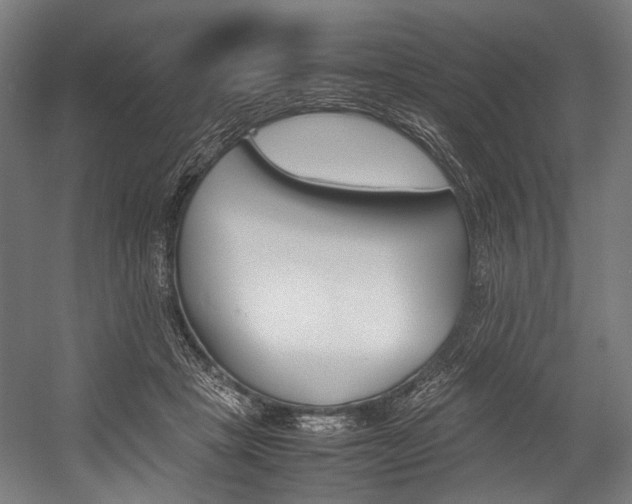 X0000054430457200507290956