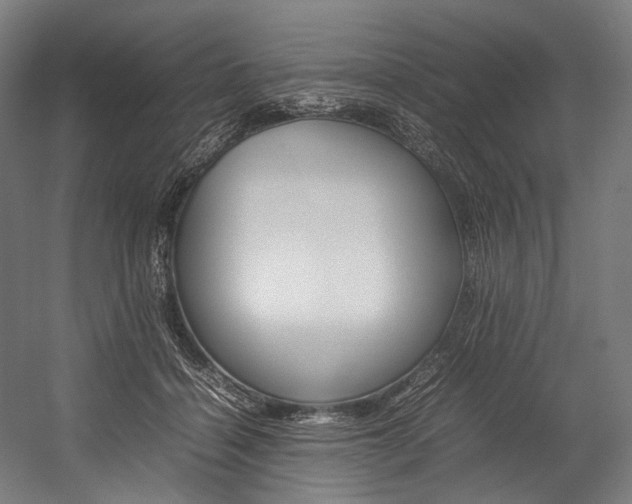 X0000054430460200507290956