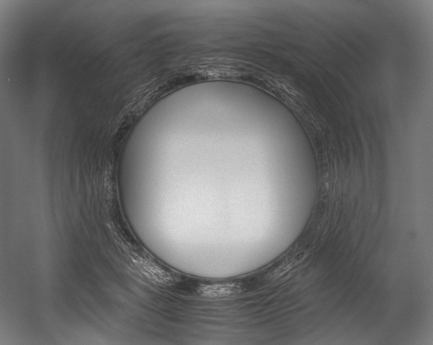 X0000054430461200507290956