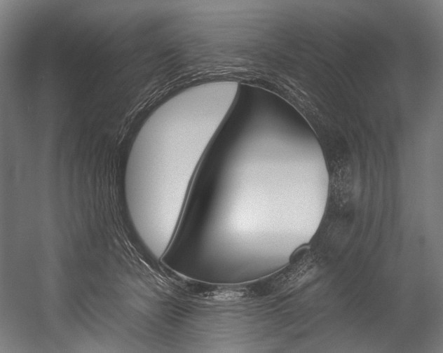 X0000054430462200507290956