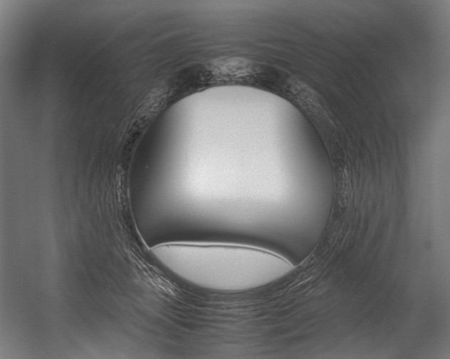 X0000054430463200507290956