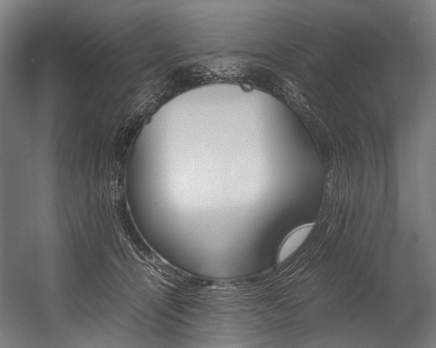 X0000054430464200507290956