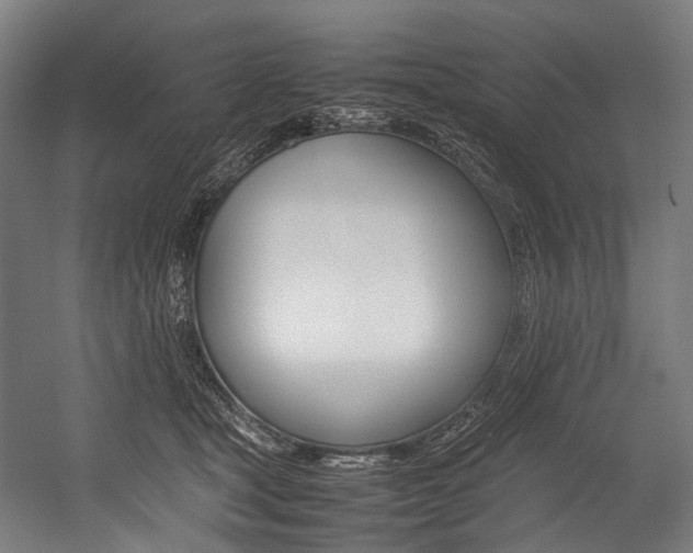 X0000054430465200507290956