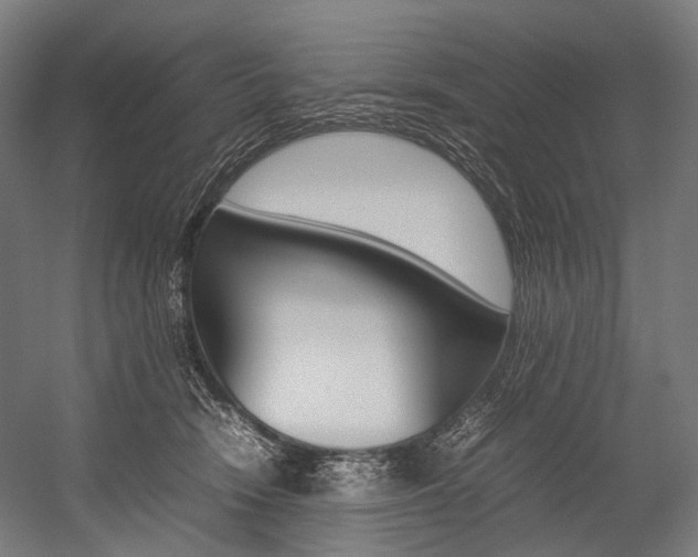 X0000054430466200507290956