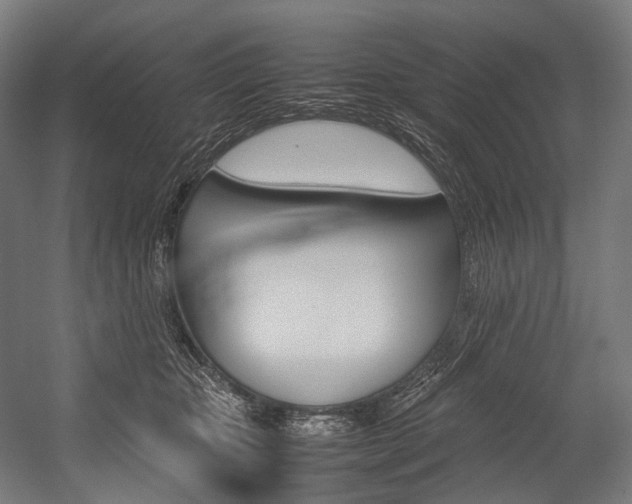 X0000054430467200507290956