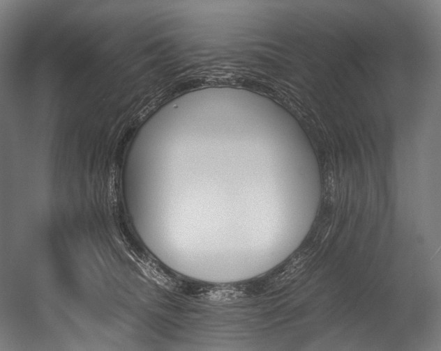 X0000054430468200507290956