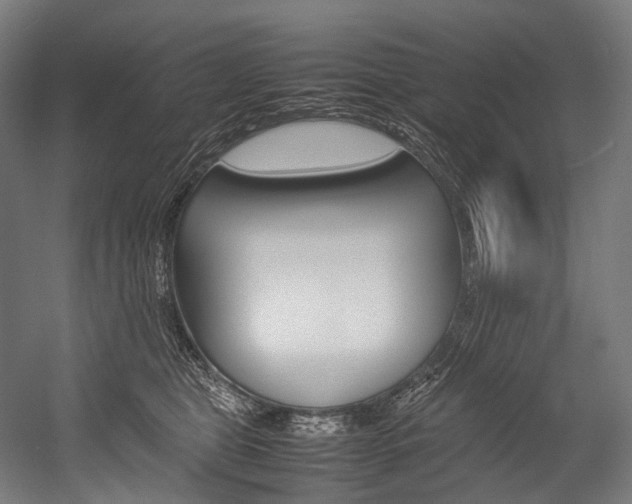 X0000054430469200507290956