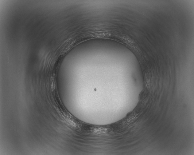 X0000054430471200507290956