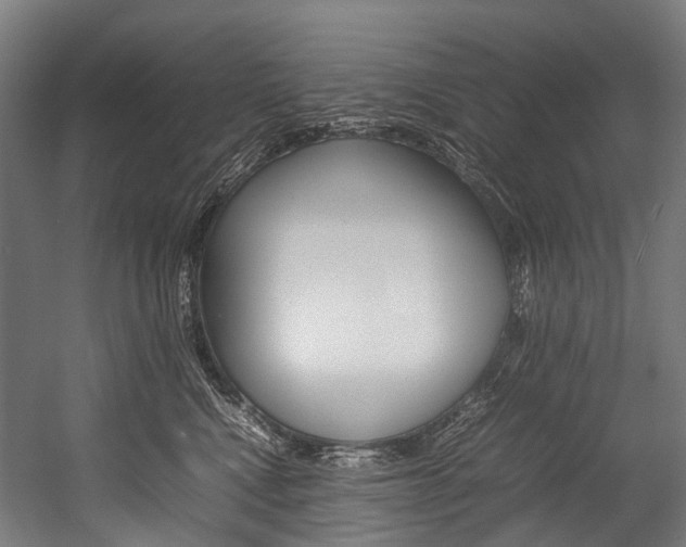 X0000054430472200507290956