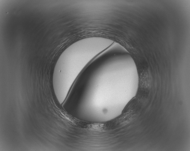 X0000054430474200507290956