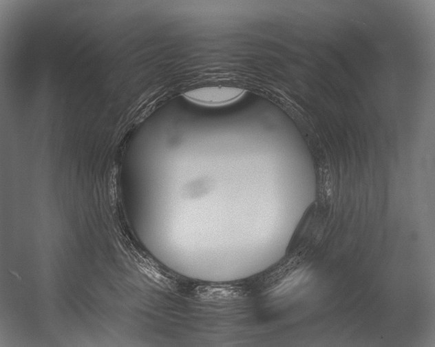 X0000054430475200507290956