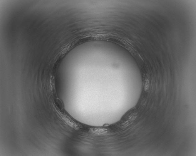 X0000054430476200507290956