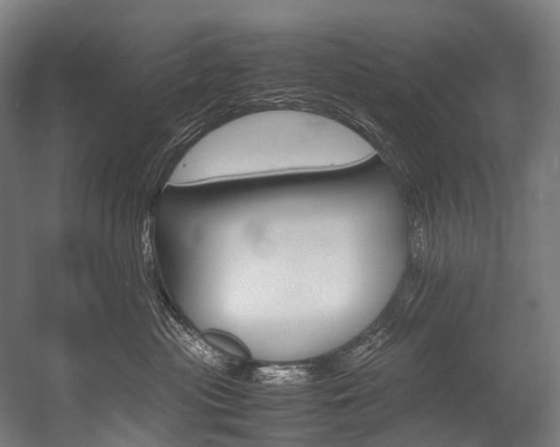 X0000054430477200507290957