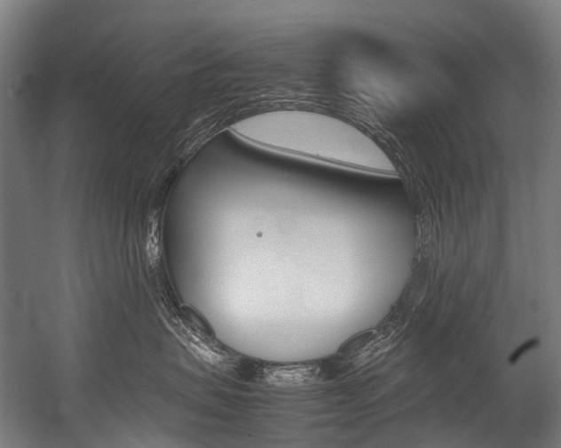 X0000054430479200507290957