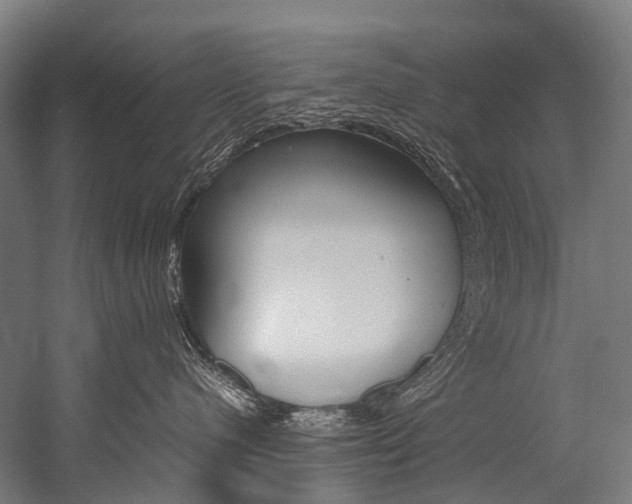 X0000054430480200507290957