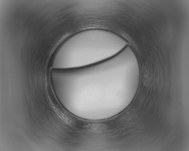 X0000054430482200507290956