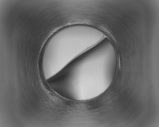 X0000054430483200507290956