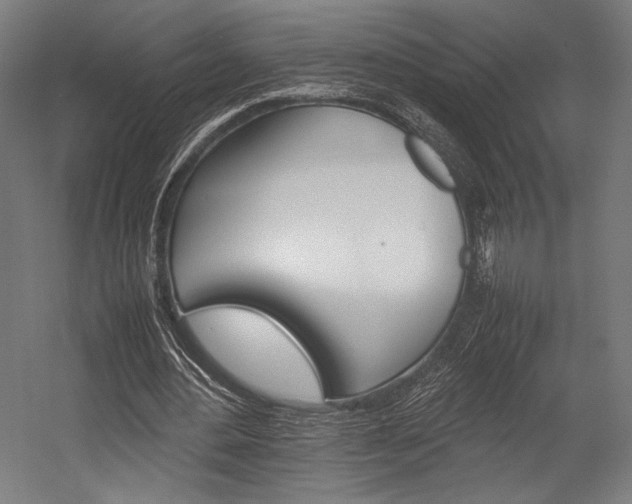 X0000054430484200507290956