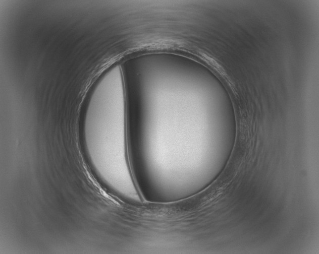 X0000054430485200507290956