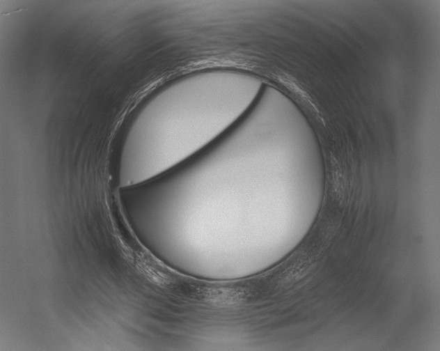 X0000054430486200507290956