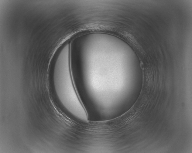 X0000054430488200507290956