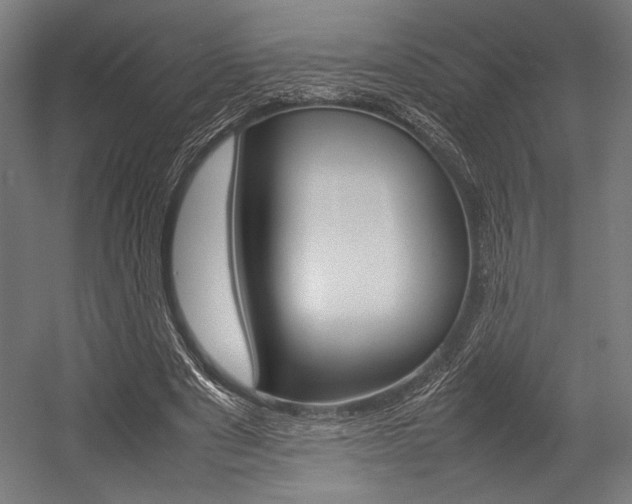 X0000054430489200507290956