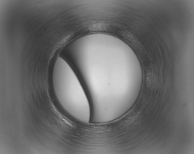 X0000054430490200507290956