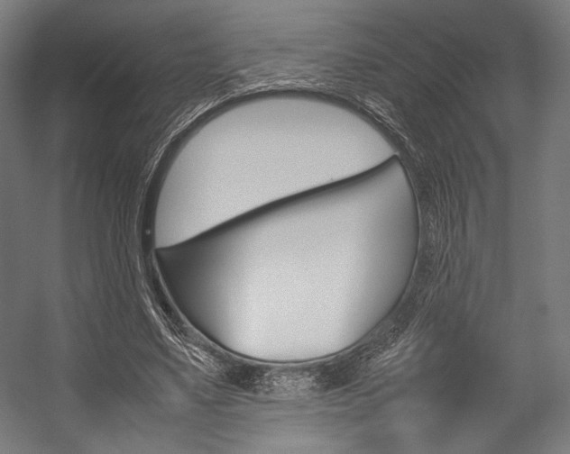 X0000054430491200507290956