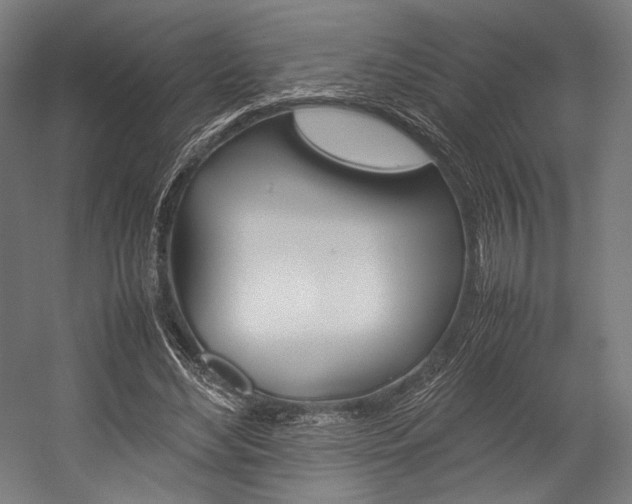 X0000054430492200507290956
