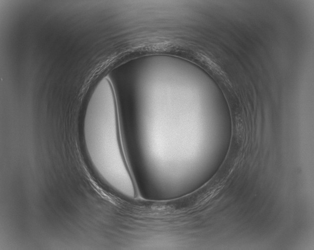 X0000054430493200507290956