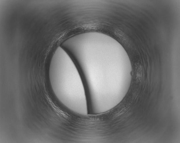 X0000054430494200507290956