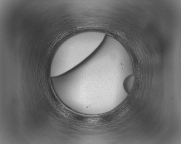 X0000054430495200507290956