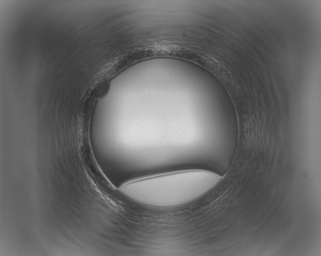X0000054430496200507290956