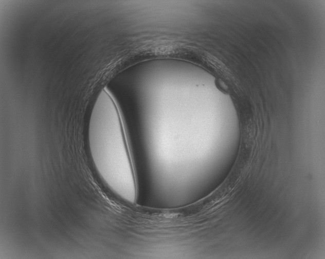 X0000054430497200507290955