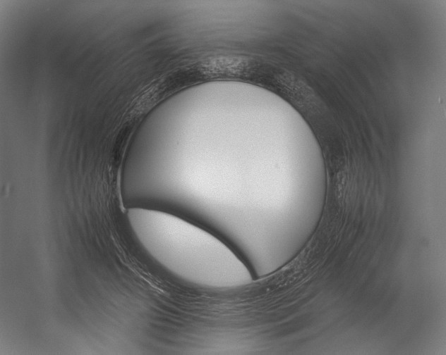 X0000054430498200507290955