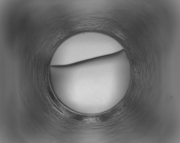 X0000054430499200507290955