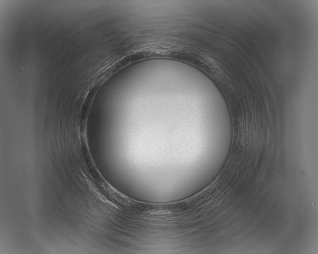 X0000054430500200507290955
