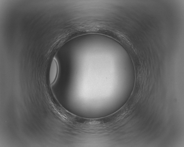 X0000054430501200507290955