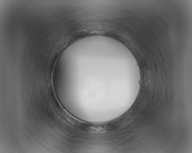 X0000054430502200507290955